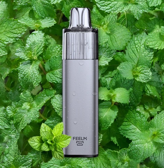relx 4000 mint